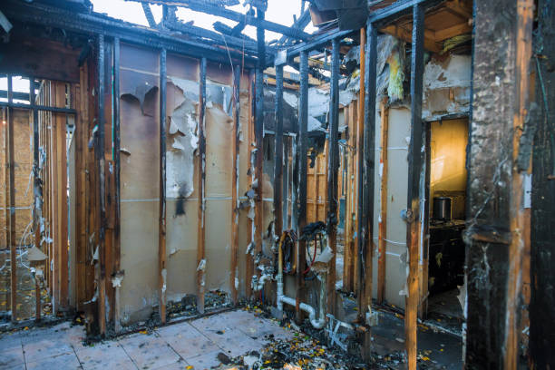 Professional Fire Damage Removal technician working in Carrollton, KY