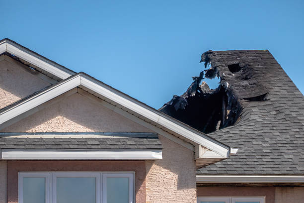 Top rated local Fire Damage Removal specialists in Carrollton, KY